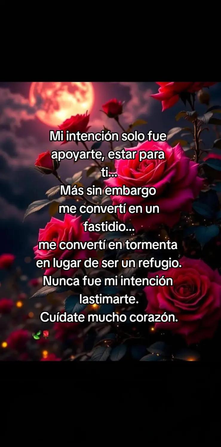 @Rafael V.J.(Lobito)