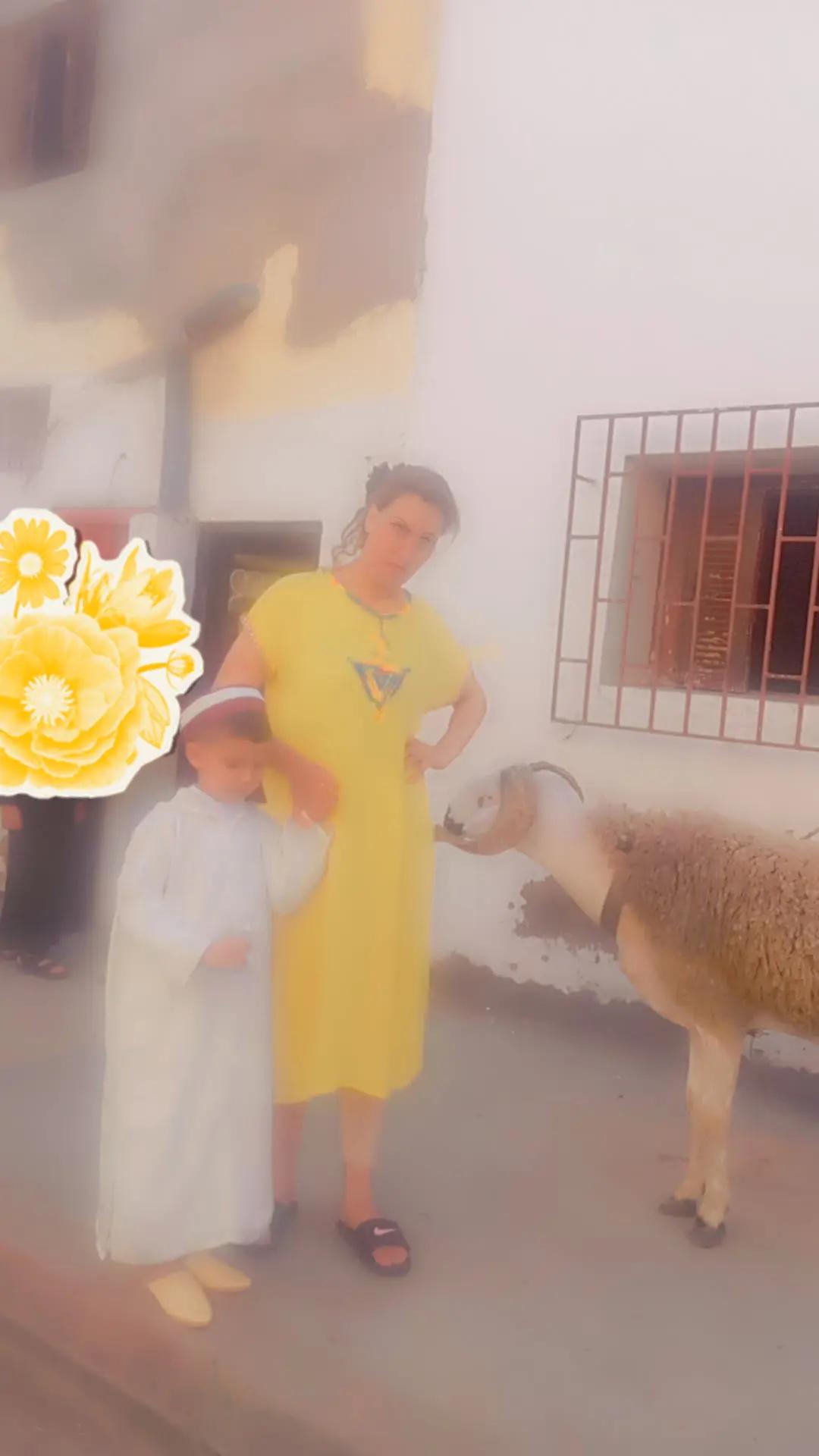 @sofya walid