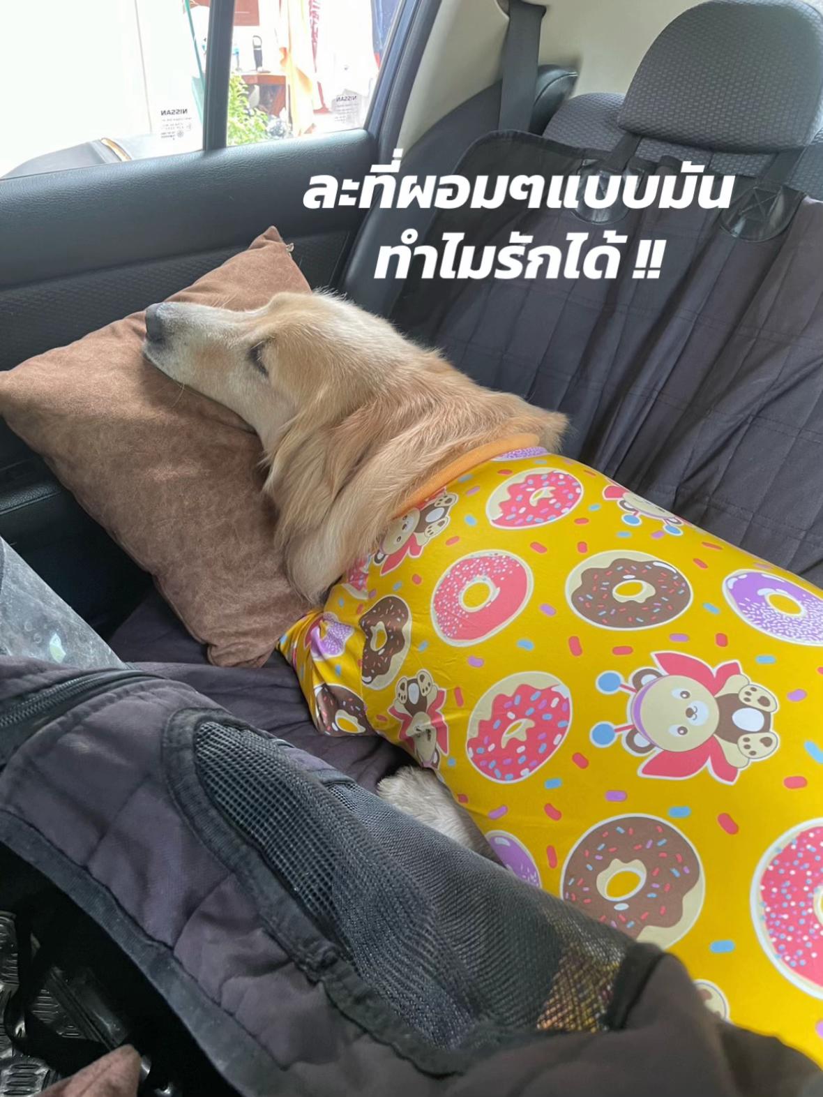 @โอนิอยากไป 🍒