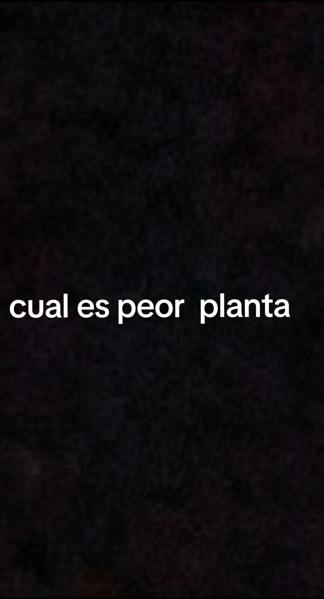@tomi