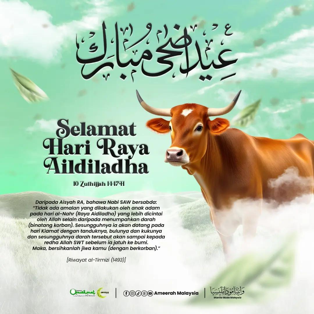 @Ameerah Malaysia