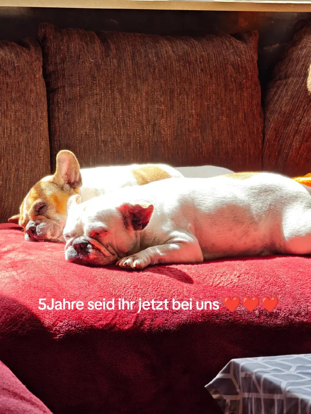 @Vici🔥Die_Echte