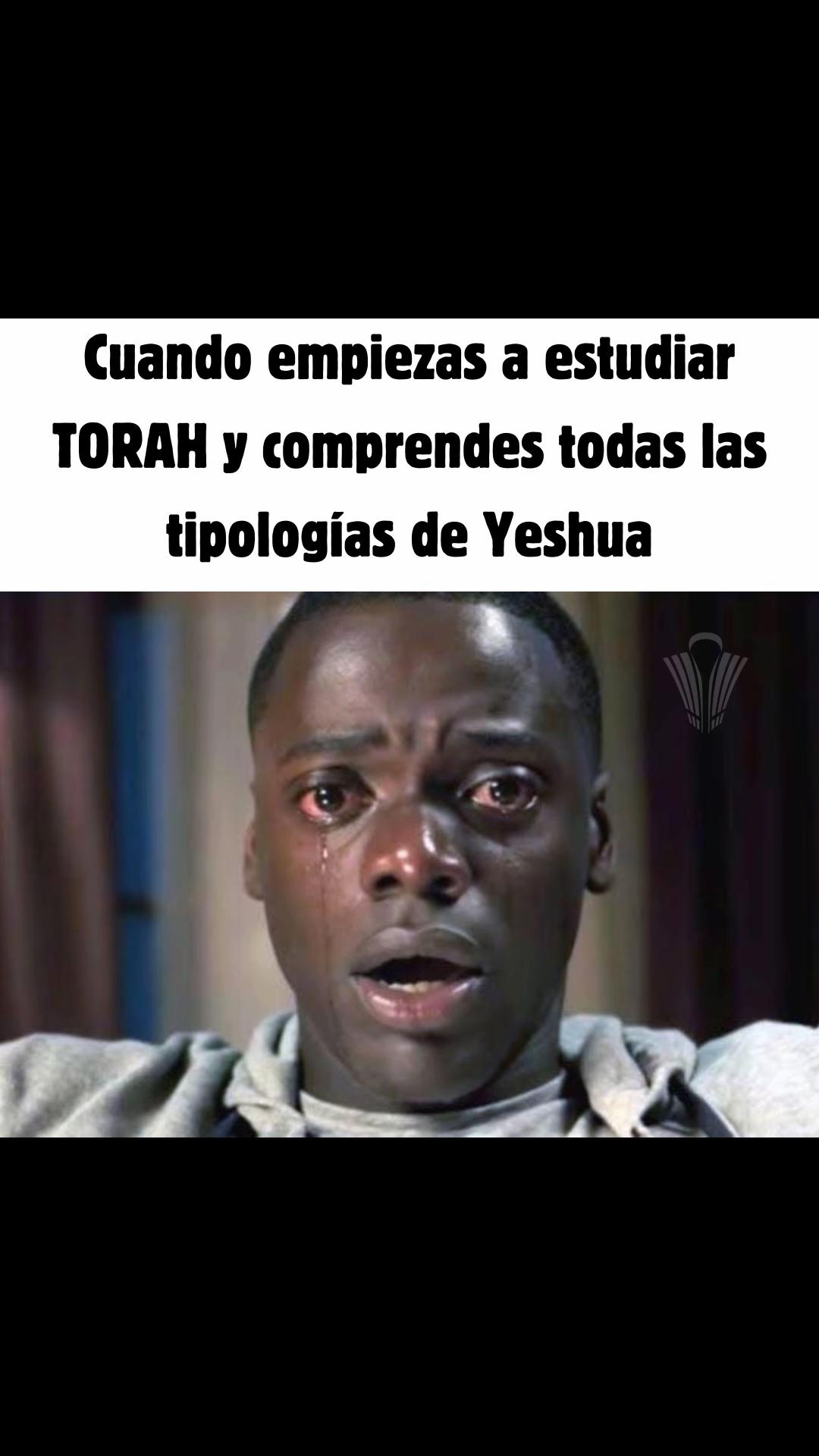 @Ajel - Torah para hoy