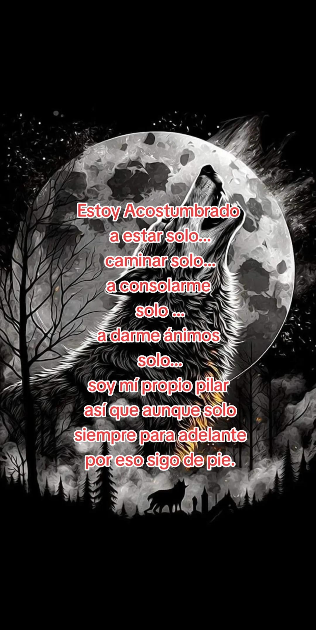 @Rafael V.J.(Lobito)