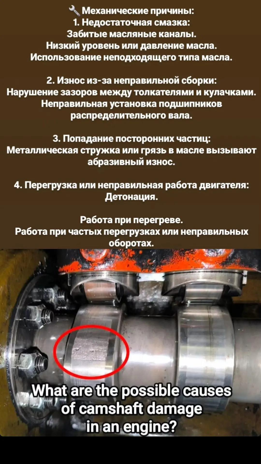 @kniga_moryaka