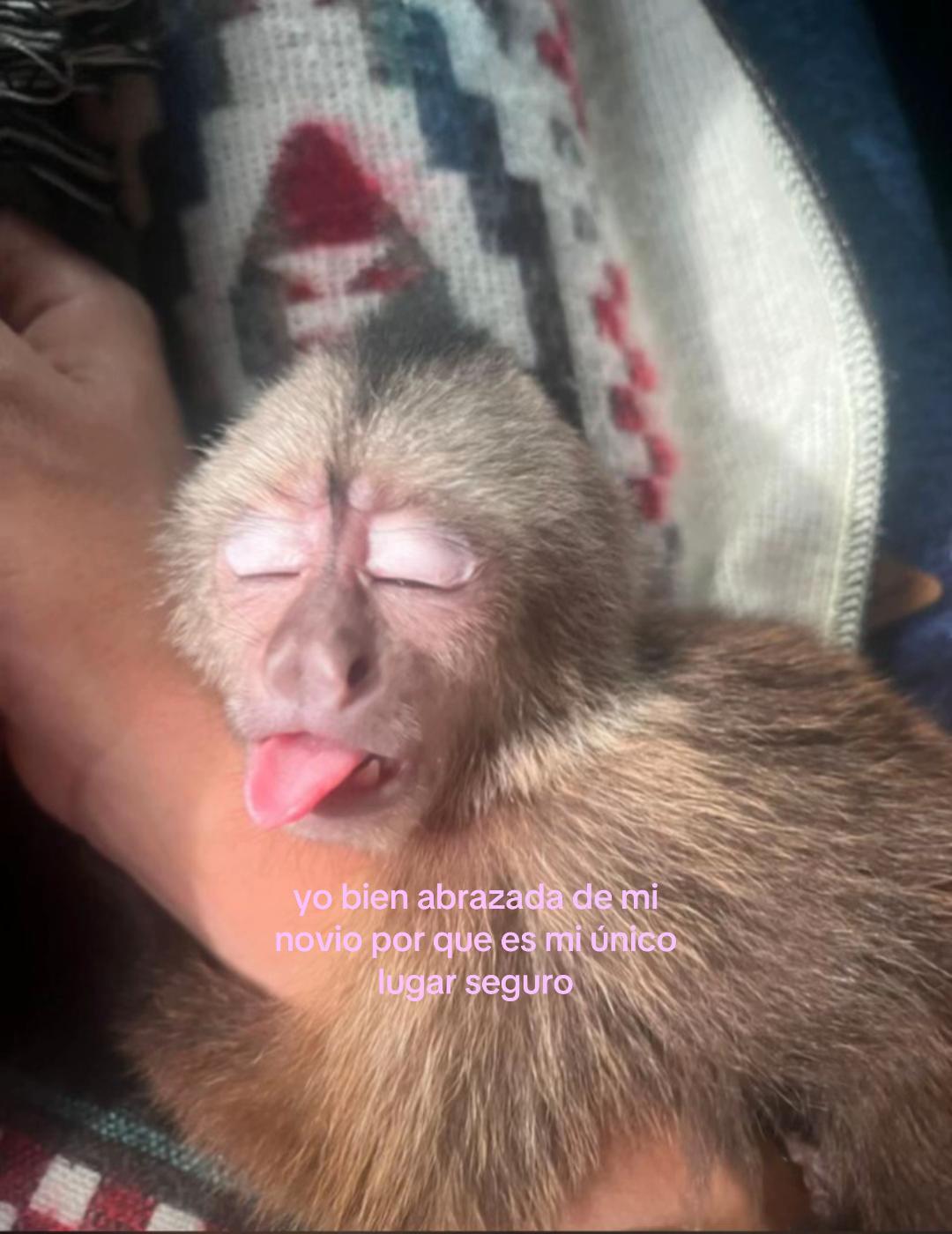 @amo a mi novio🤍