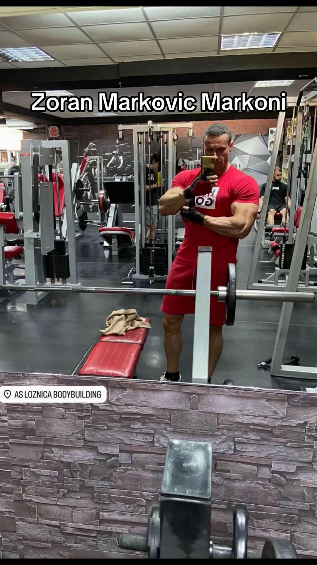 @balkan_bodybuilding