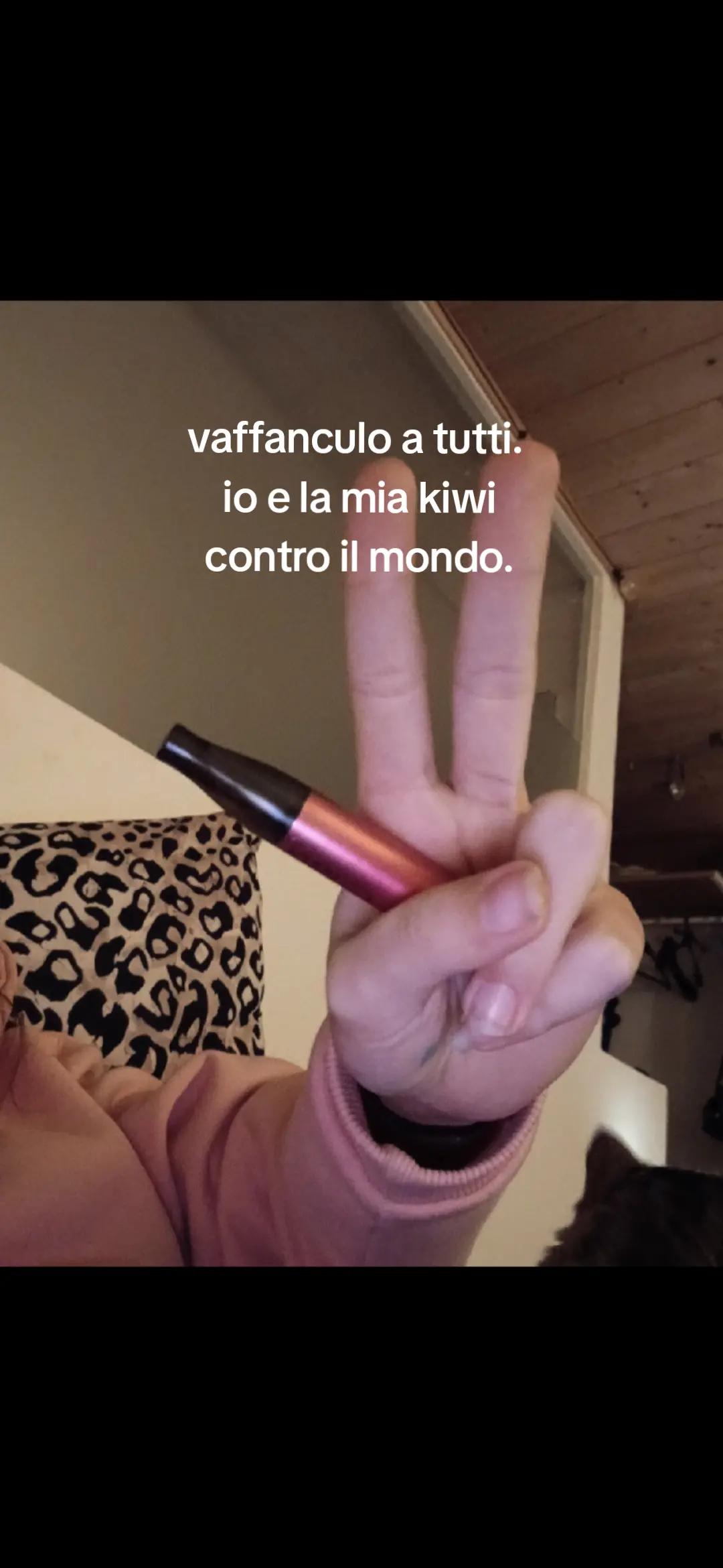 @ines.istente