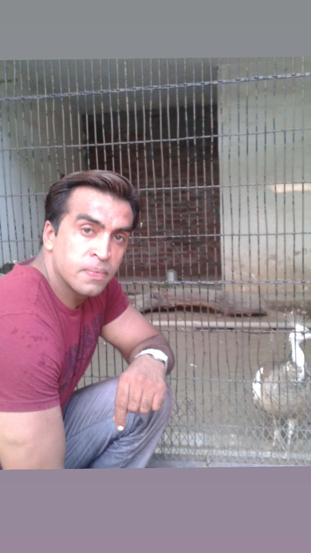 @Shahbaz Mughal