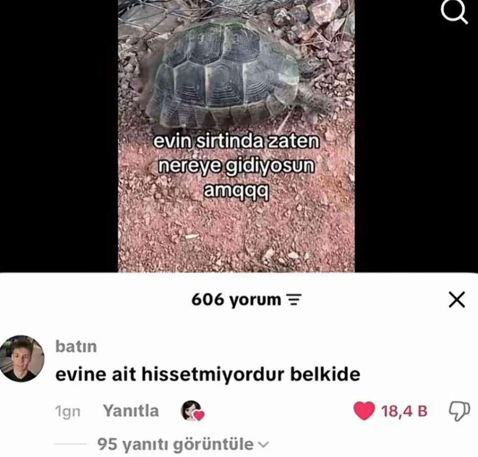 @Viora
