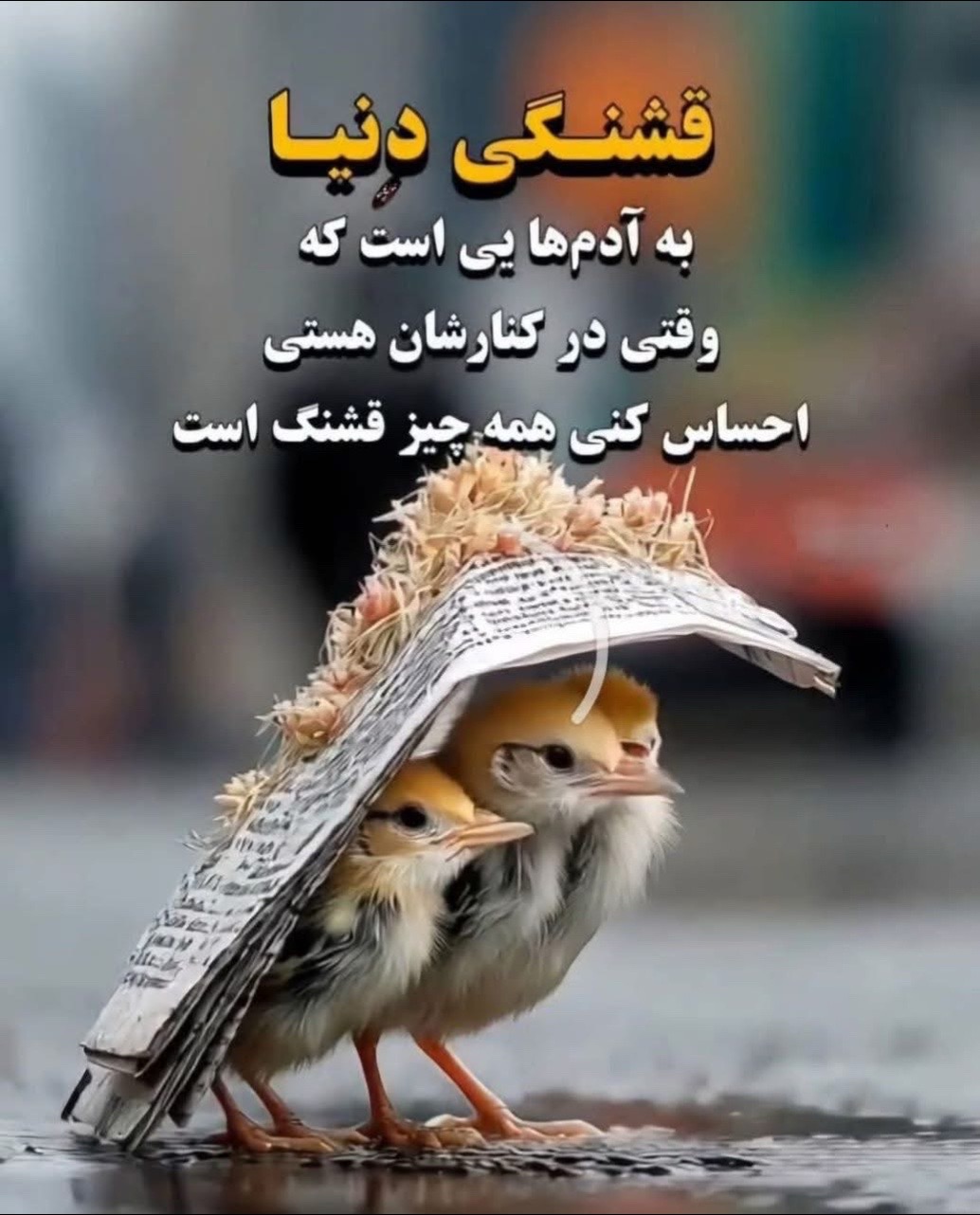 @M_azizi