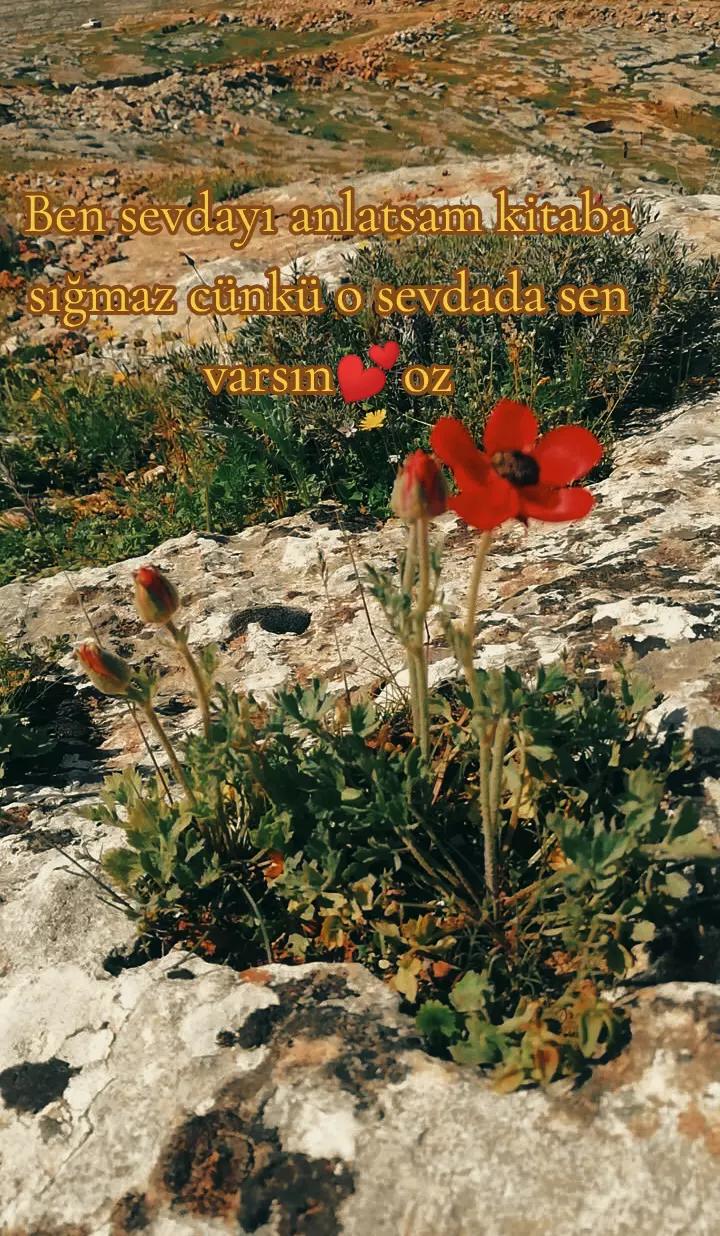 @❤️🔥"ASİ KIZ"❤️🔥