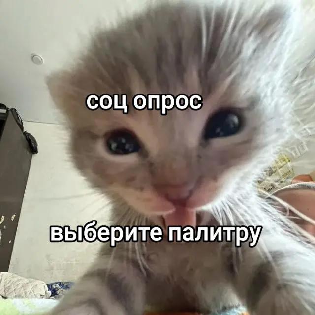 @mme