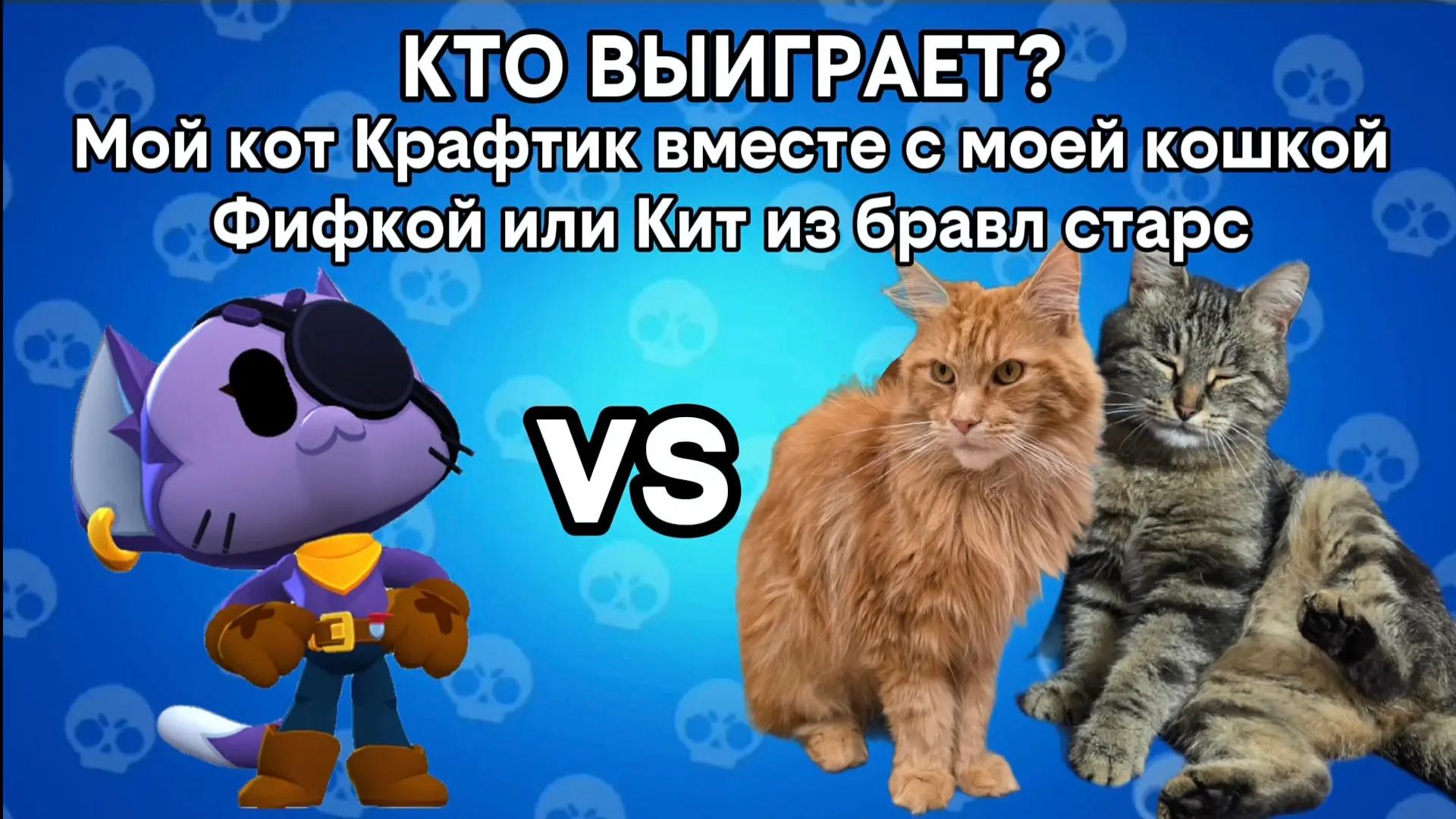 @Пельмень🥟
