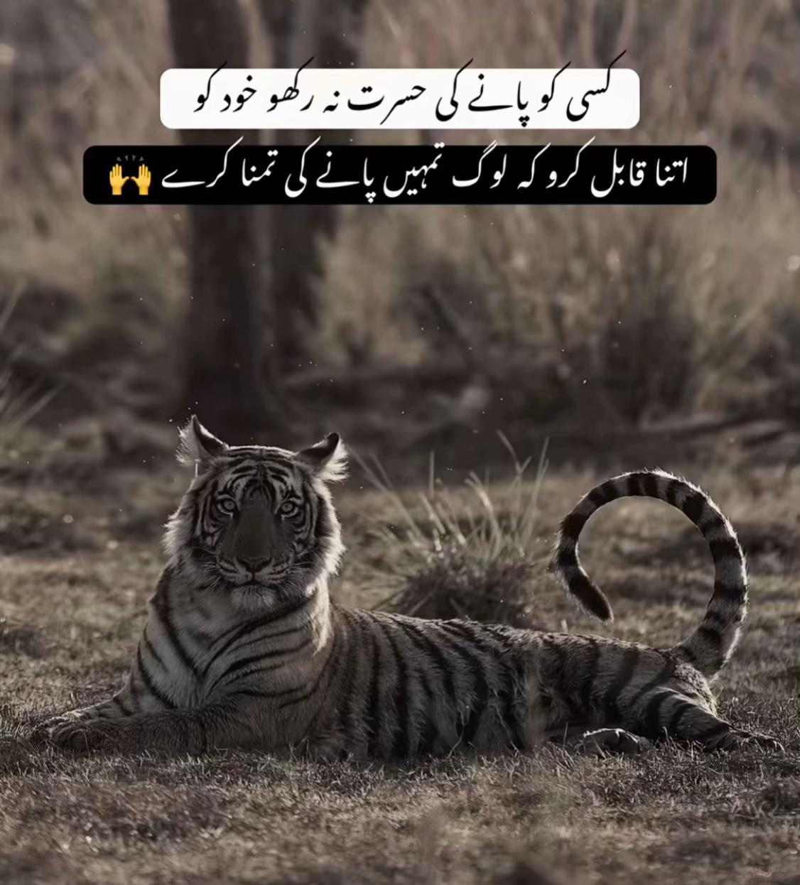 @Furqan Azeem