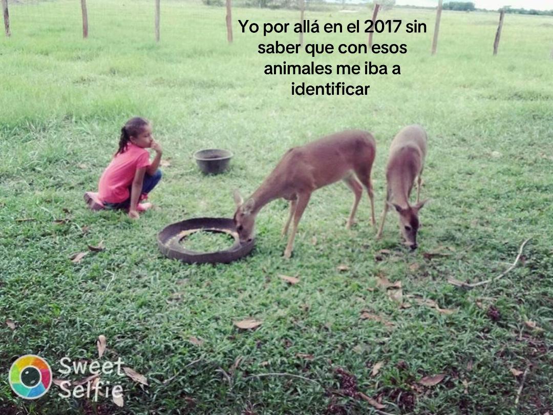 @ᴇ ᴍ ɪ🩷🦭