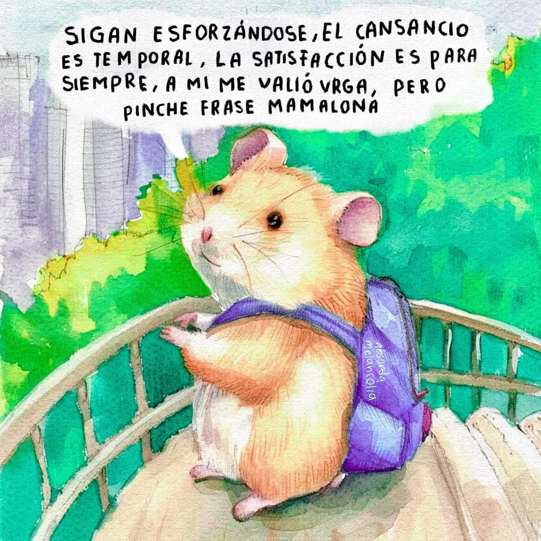@Leticia rey