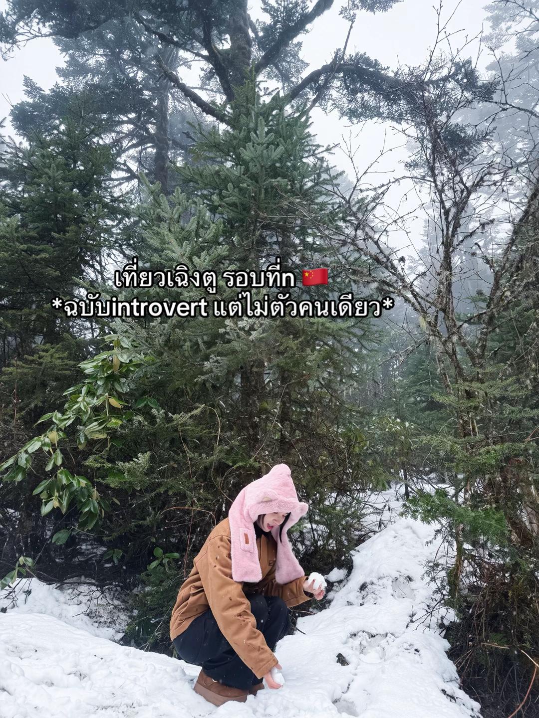 @ppimildd