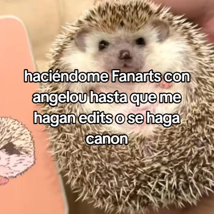 @Диджей Ви 🥃 ੭ (С днаAngelou)