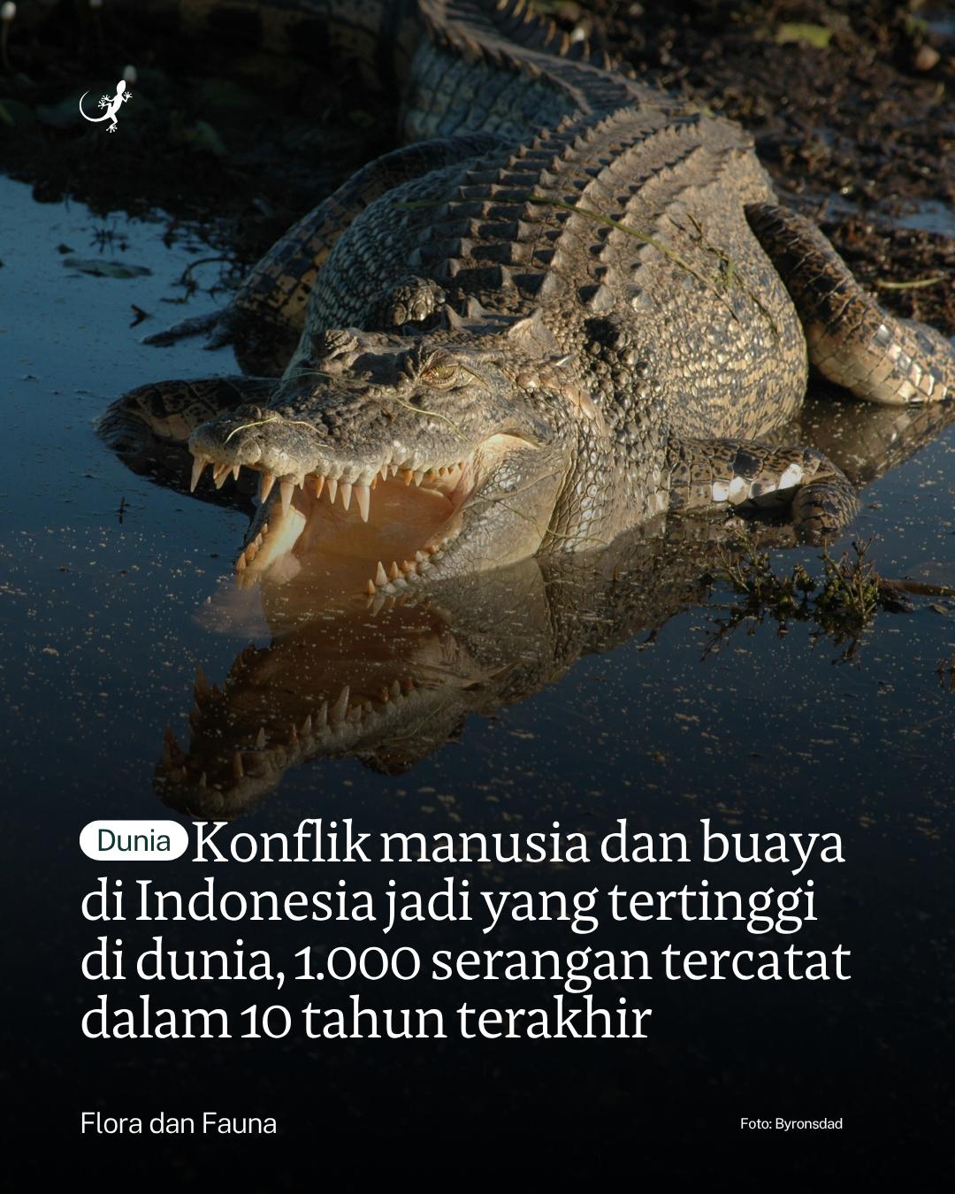@mongabayindonesia