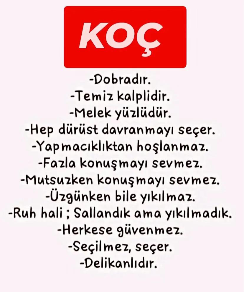 @kocburcu6