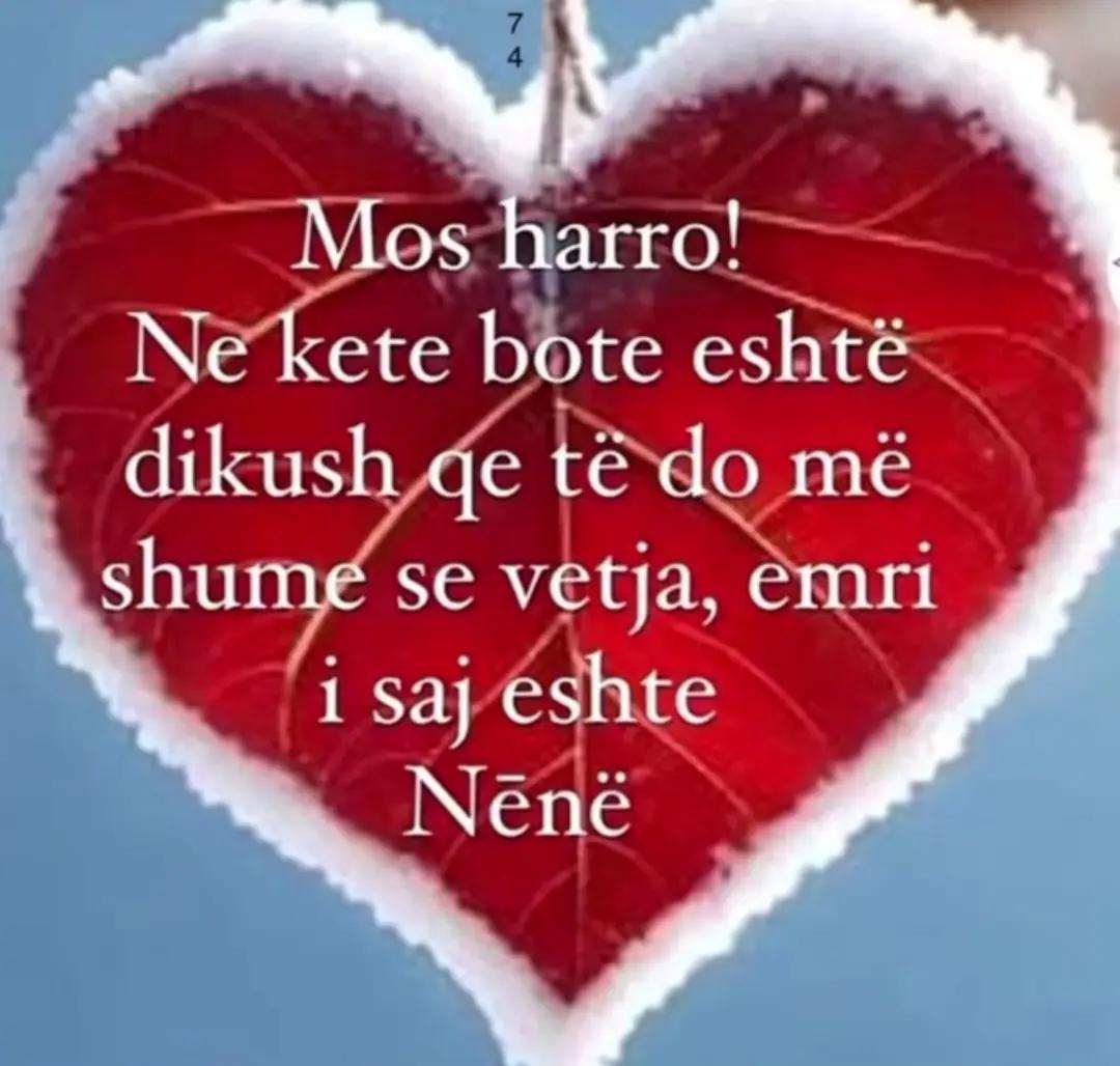 @tina nikolla