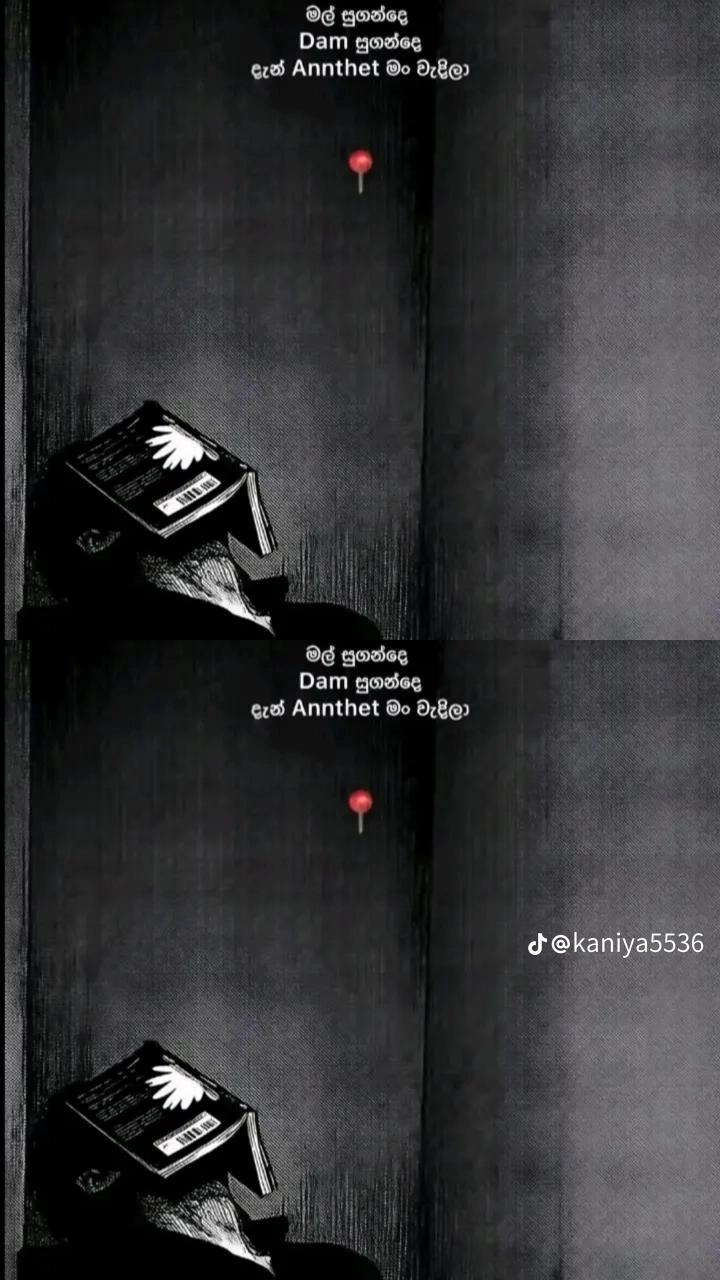 @Ʉ ₵ Ⱨ ł ł ⚓️😈