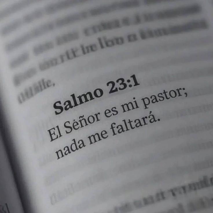 @Cami