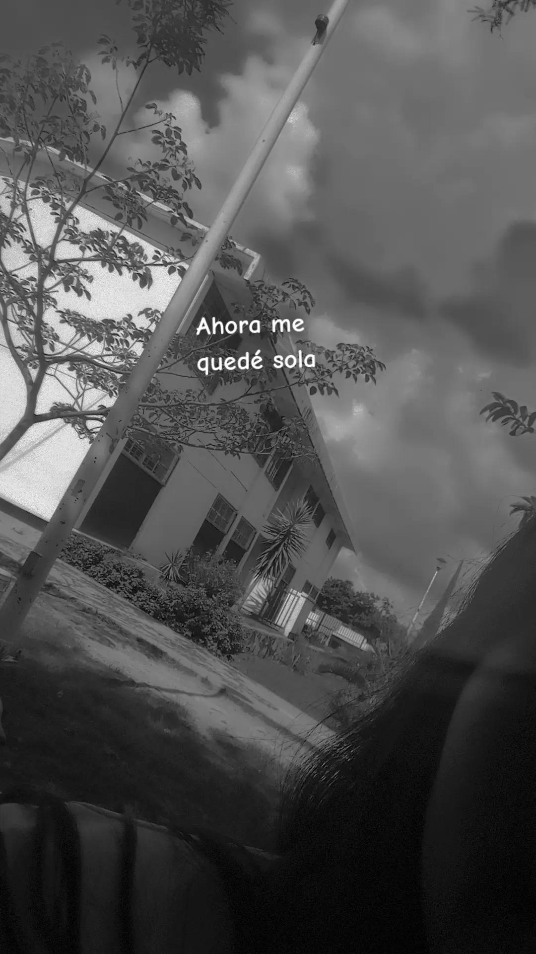 @🌴🦥Citla🦥🌴