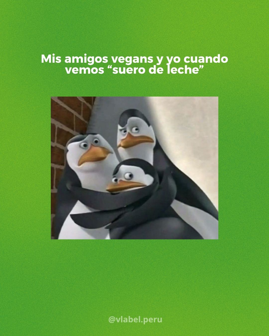 @V-Label Perú