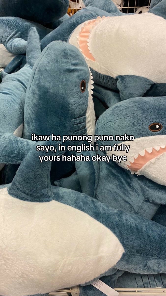 @jiae