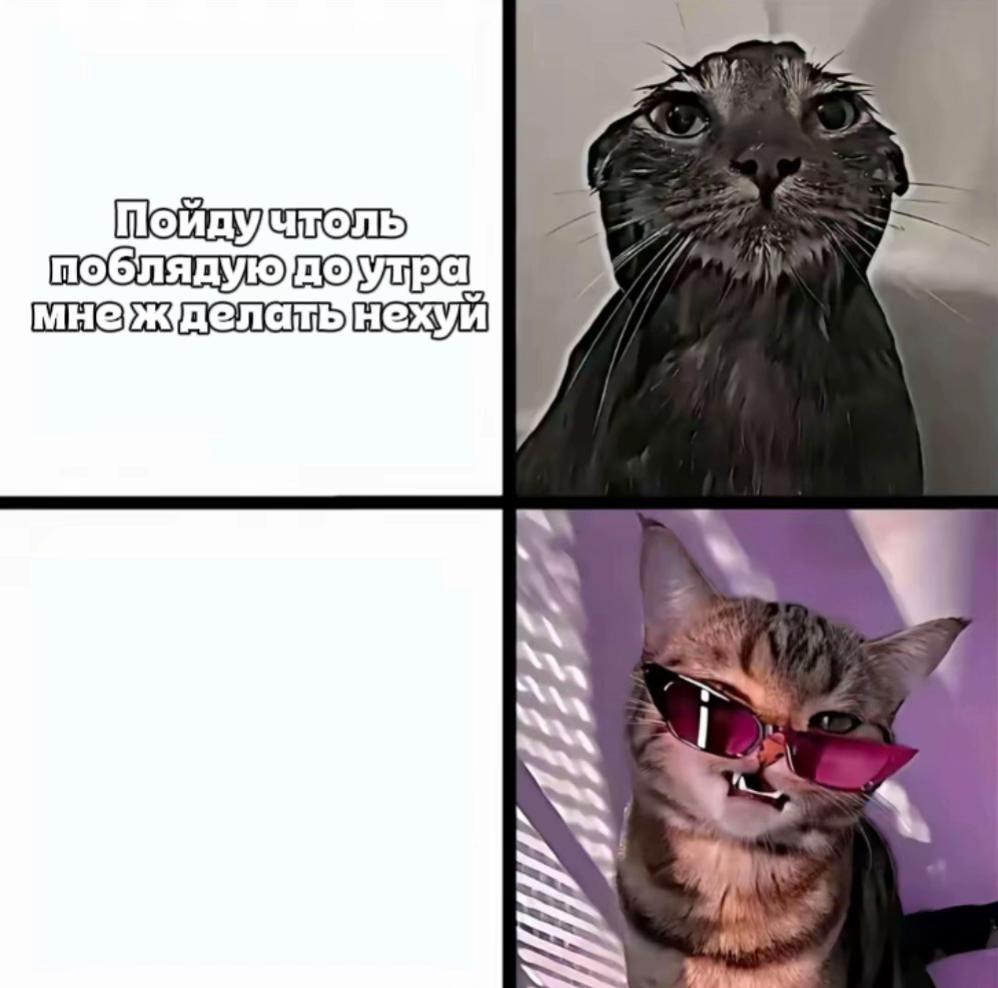 @NN.28🫦