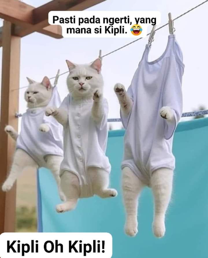 @fitrianifitri437