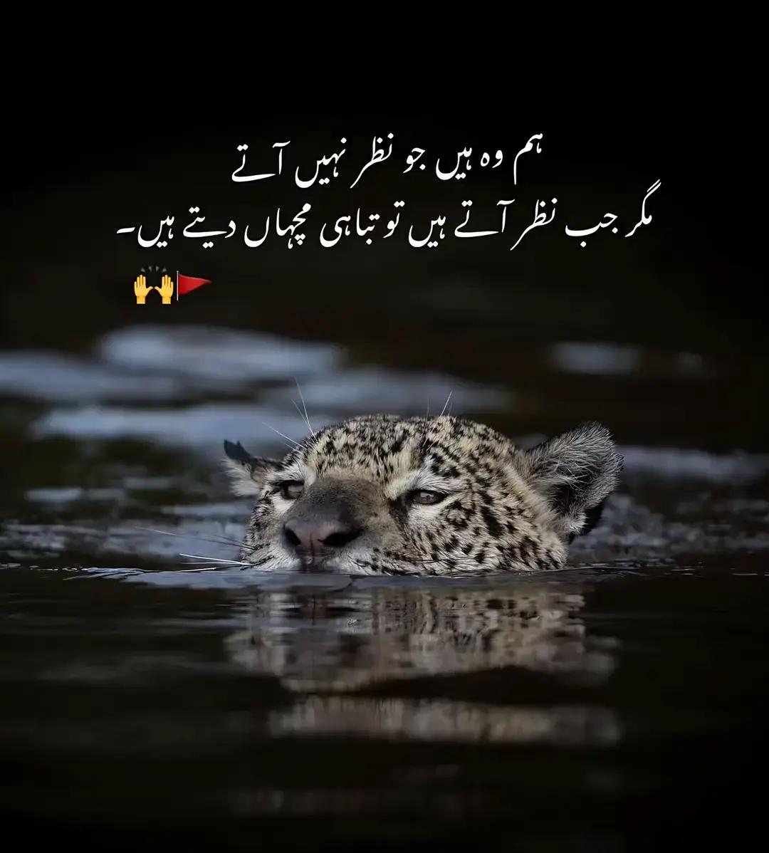@Bilaa 016