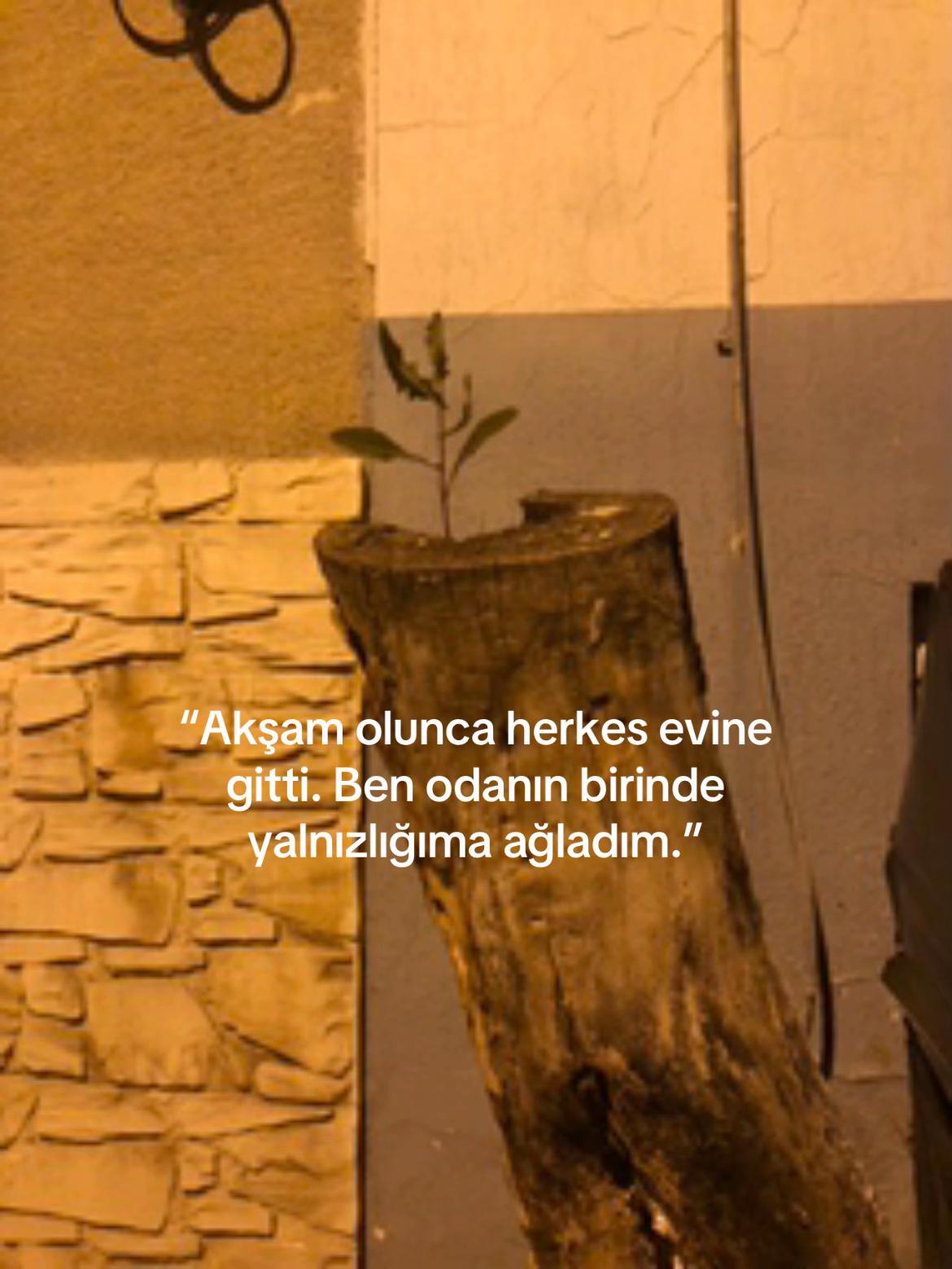 @niktofobi