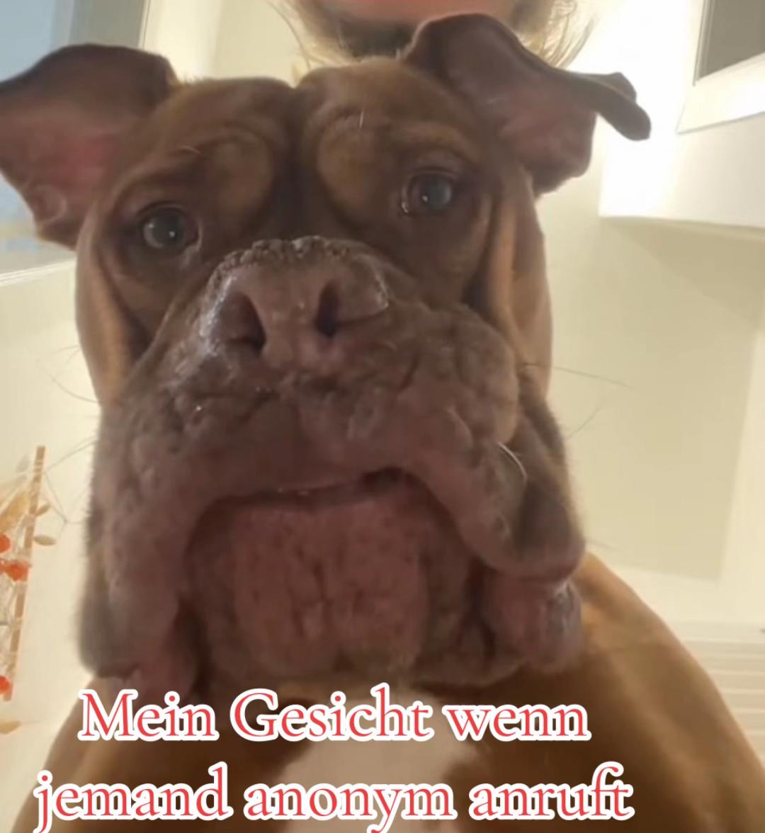 @Marleene🐶