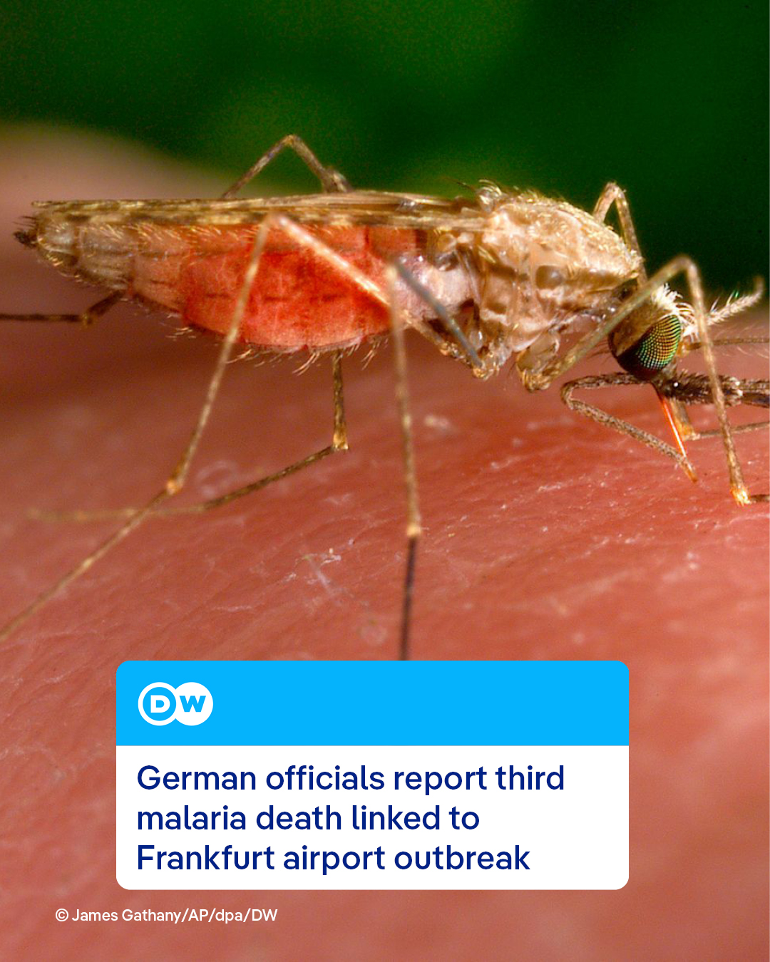 @DW News