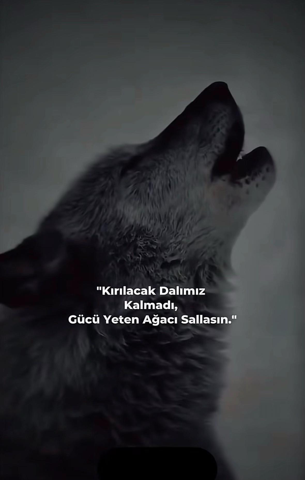@Bu Alemde kral tanimam