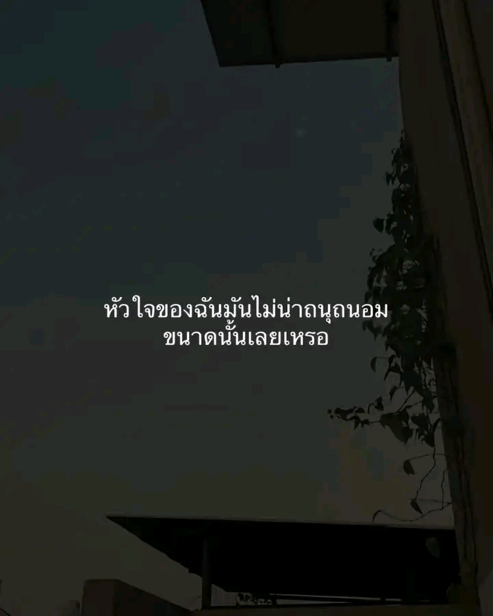 @Mos