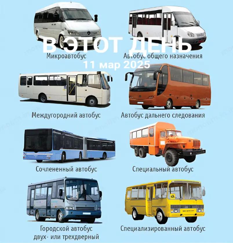 @іпсошечка🤣