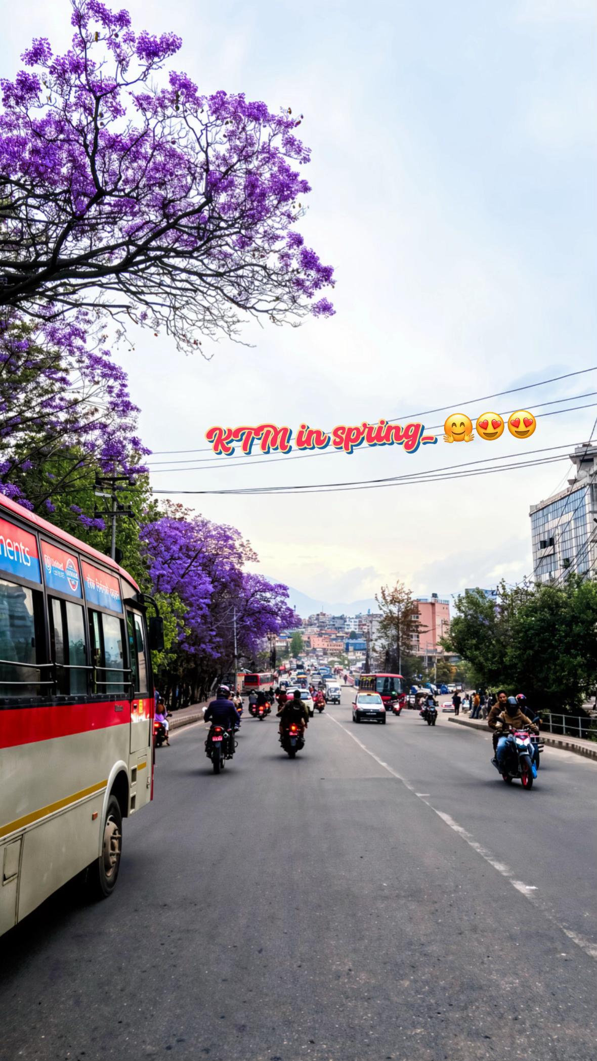 @SΛVΛGƐ