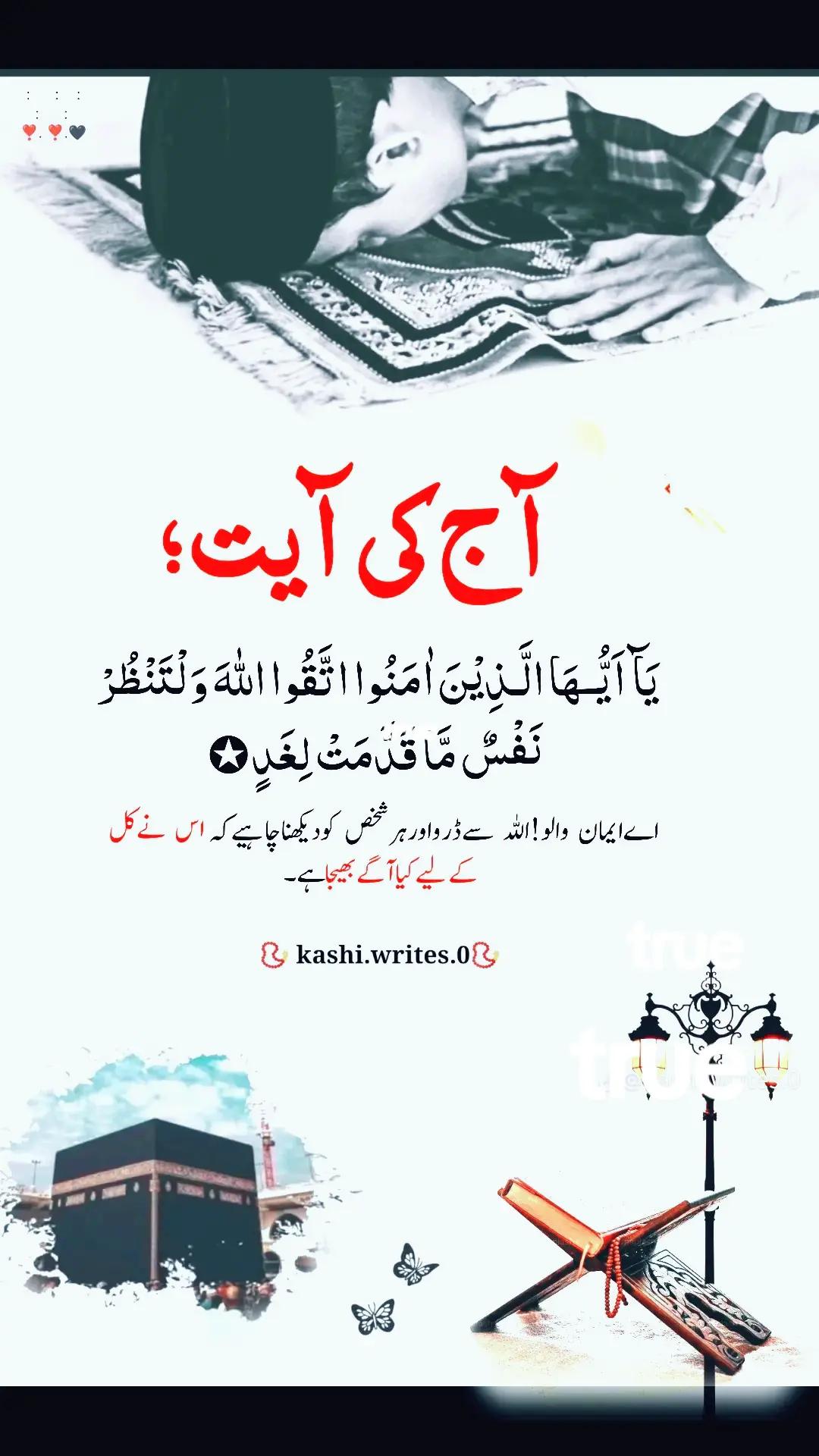 @Sheri ch 🦅