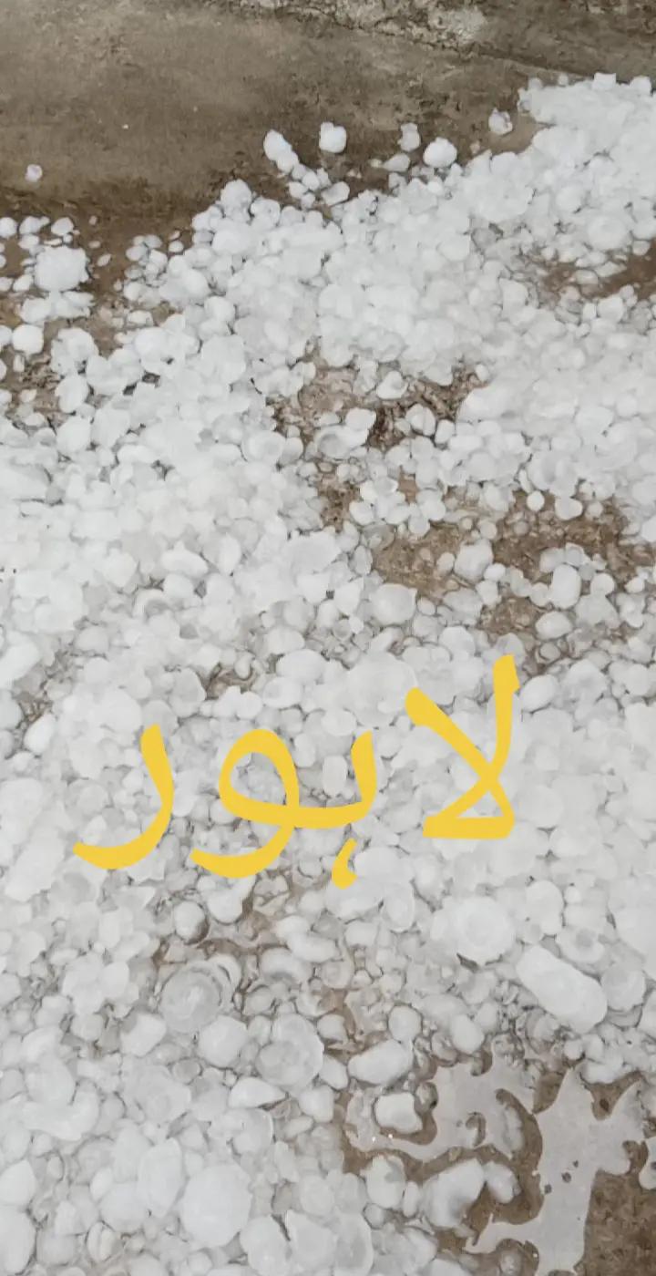 @Sufiya_naj786