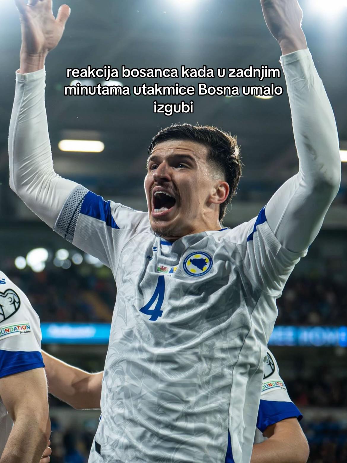 @Reprezentacija BiH