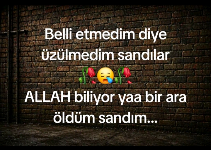 @Gönül DAĞ