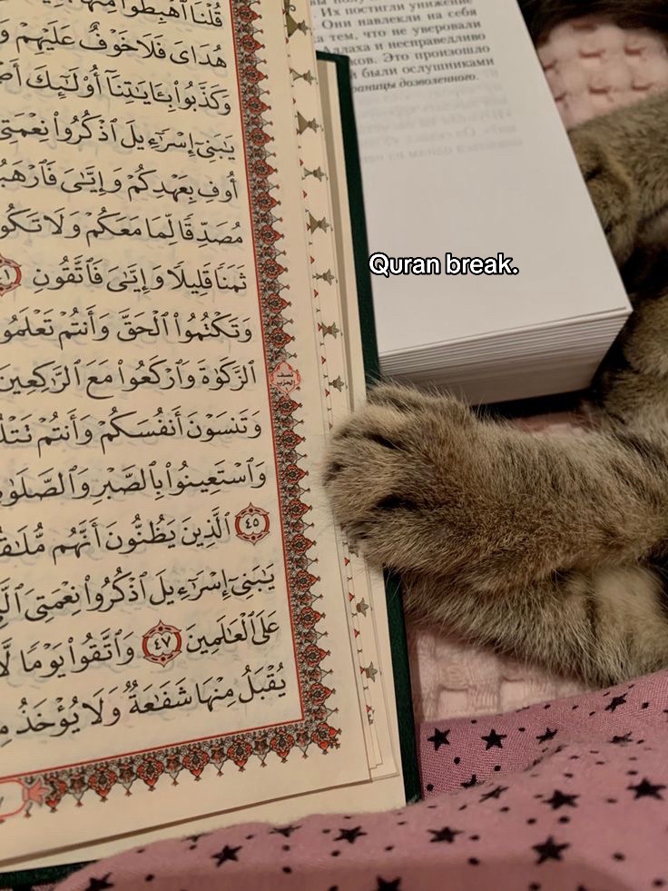 @﷽