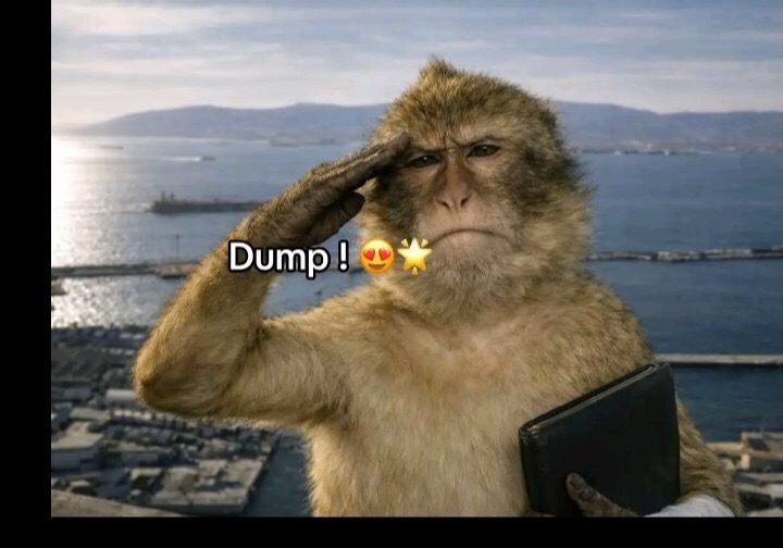 @Jay sad🥺💔🧑&zwj;🦯