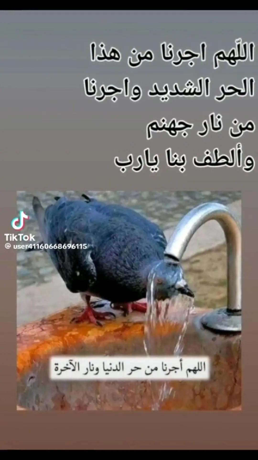 @Amr Hedar