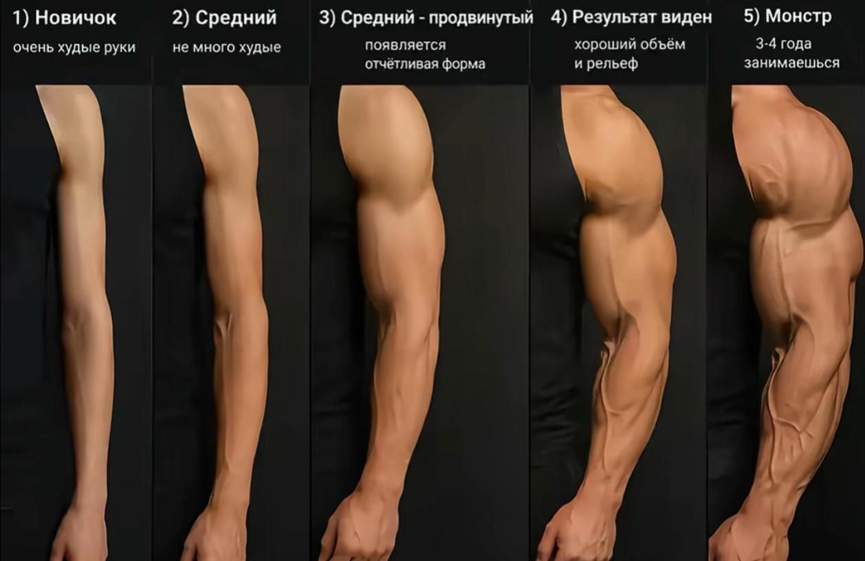@пиши в тг mrbiceps21
