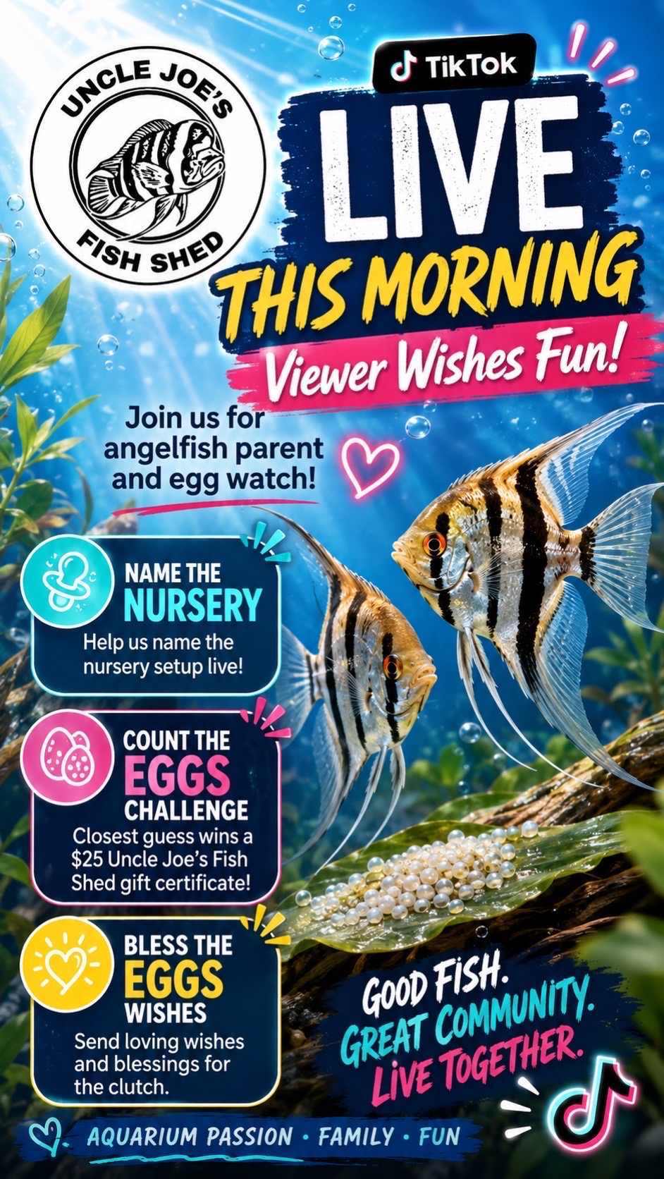 @aquaintuitions